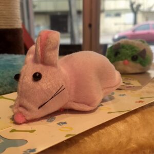 pelucheputo_n